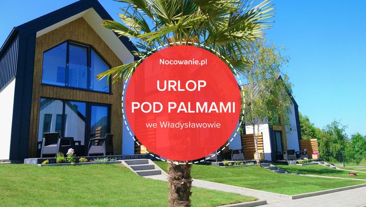 Urlop pod palmami. Skorzystaj z oferty noclegu we Władysławowie!