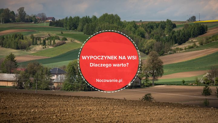 Wypoczynek na wsi. Dlaczego warto wybrać agroturystykę?