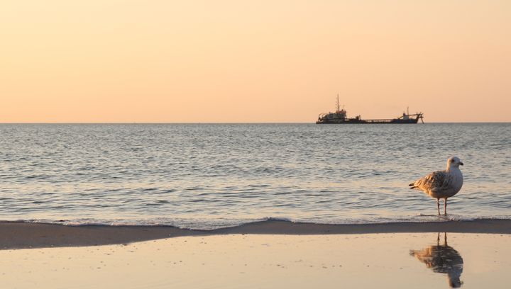 Wyjątkowy archipelag na Bałtyku. Gdzie dokładnie się znajduje?