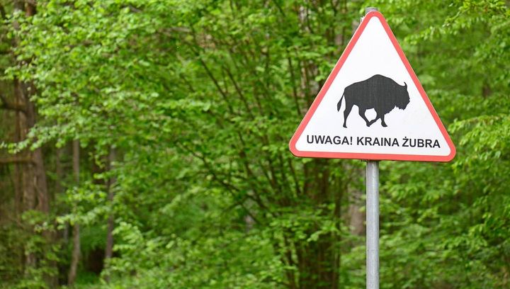 Weekend w Białowieży. Nieoczywiste miejsca, które warto zobaczyć