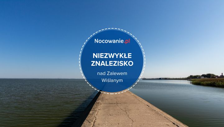 Niezwykłe znalezisko nad Zalewem Wiślanym we Fromborku. Co to takiego?