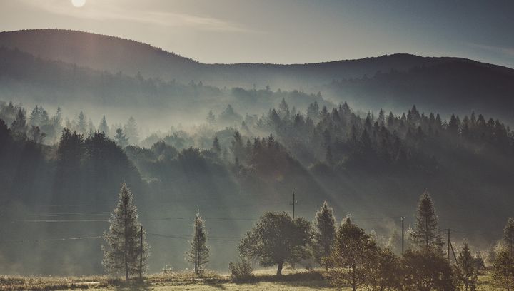 Odkryj Bieszczady. Zupełnie nowa odsłona Muzeum Przyrodniczego BPN