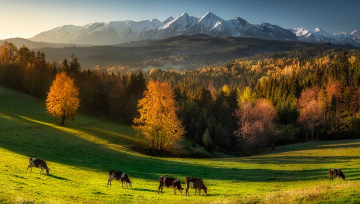 Najpiękniejszy punkt widokowy na Tatry? Odkryj Przełęcz nad Łapszanką