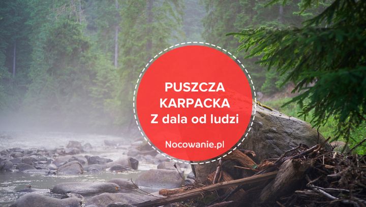 Wypoczynek z dala od ludzi - Puszcza Karpacka