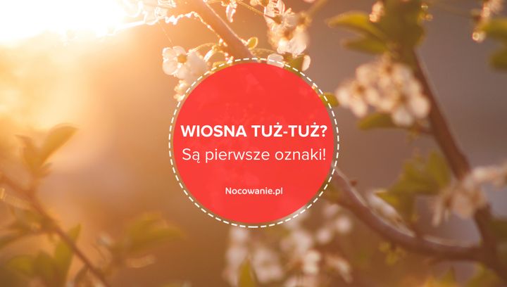 Wiosna tuż-tuż? Pojawiły się jej pierwsze oznaki!