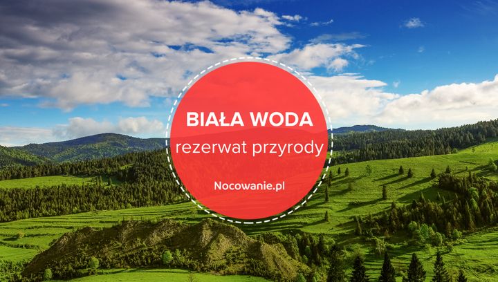 Rezerwat przyrody Biała Woda - piękny zakątek Pienin