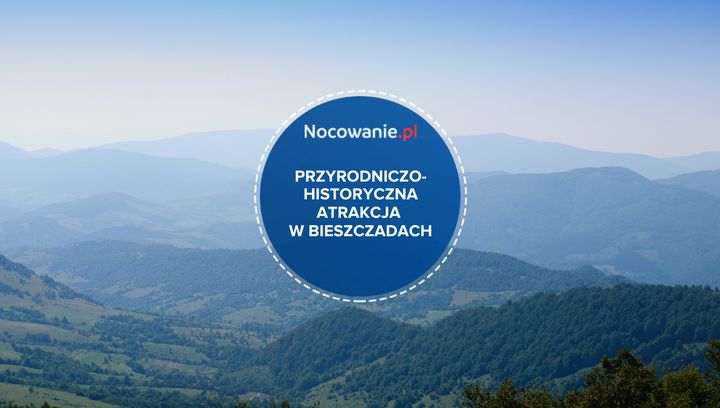 Przyrodniczo-historyczna atrakcja w Bieszczadach. Spacer ścieżką Dziki Hon