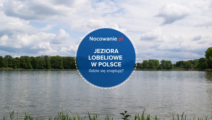 Jeziora lobeliowe w Polsce. Co to takiego i gdzie się znajdują?