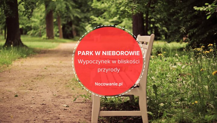 Wypoczynek w bliskości przyrody. Odkryj niezwykły park na Ziemi Łódzkiej