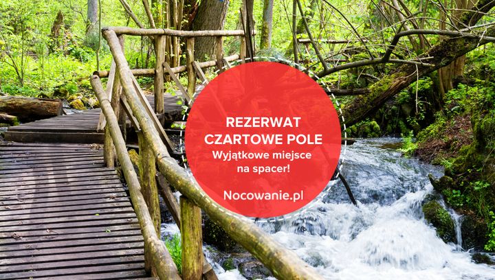 Rezerwat Czartowe Pole. Wyjątkowa opcja na wiosenny spacer na Lubelszczyźnie