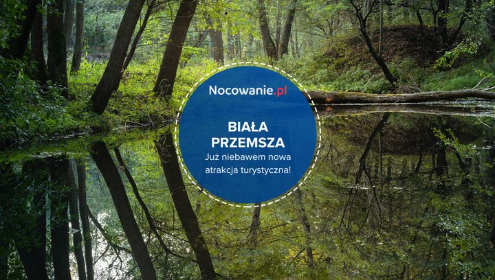 Odkryj malownicze tereny nad Białą Przemszą. Już niebawem nowa atrakcja!