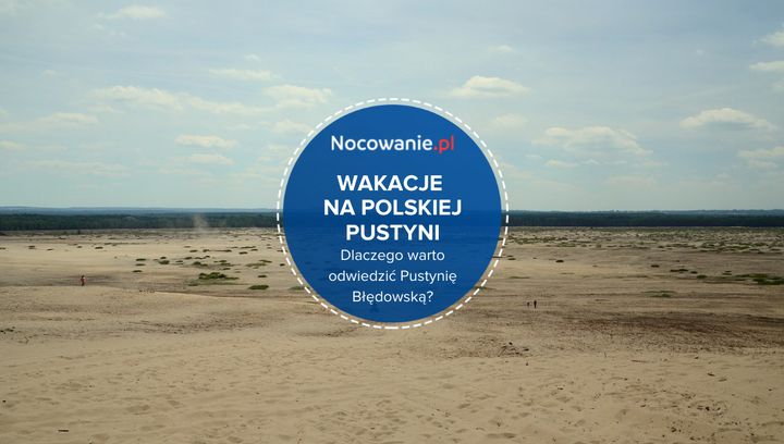 Wakacje na polskiej pustyni. Dlaczego warto odwiedzić Pustynię Błędowską?