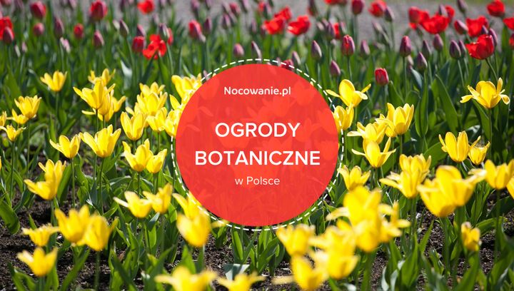 5 najpiękniejszych ogrodów botanicznych w Polsce