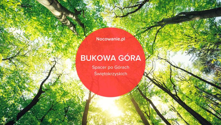 Bukowa Góra - wyjątkowe miejsce na spacer w Górach Świętokrzyskich