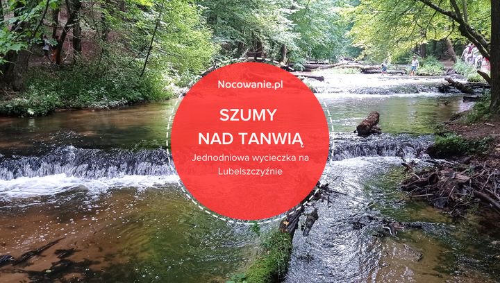 Jednodniowa wycieczka na Lubelszczyźnie. Rezerwat przyrody Szumy nad Tanwią