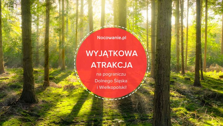 Wyjątkowa atrakcja na pograniczu Dolnego Śląska i Wielkopolski. Kiedy powstanie?