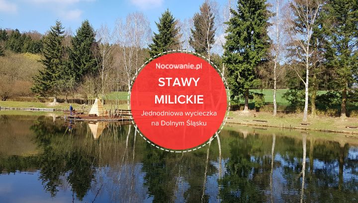 Stawy Milickie. Idealna propozycja jednodniowej wycieczki na Dolnym Śląsku