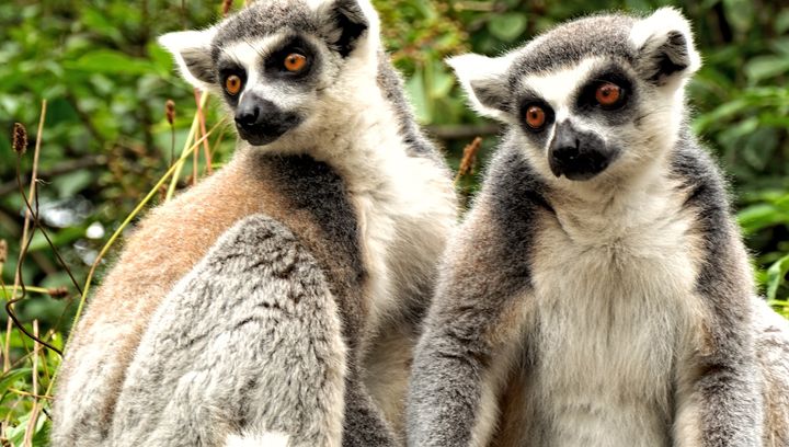 Egzotarium w Tatrach. Zupełnie nowa atrakcja w Zakopanem