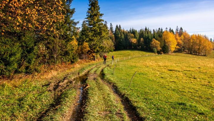 Stare Wierchy - leśna polana, schronisko PTTK i wspaniałe widoki