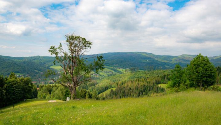 Wisła na weekend. Co warto tu zobaczyć?