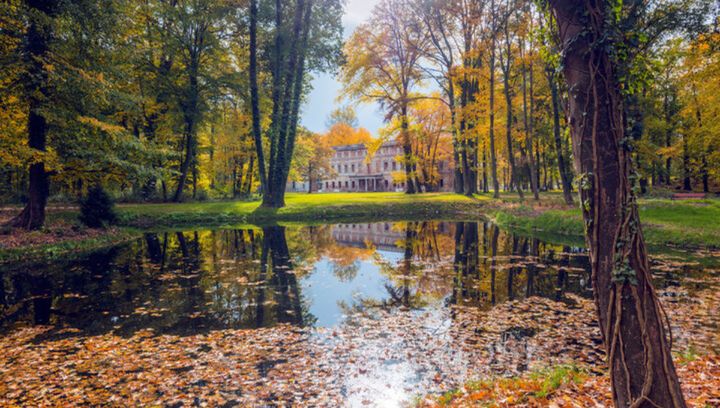 Park Książęcy Zatonie. Klimatyczne miejsce na jesienny spacer