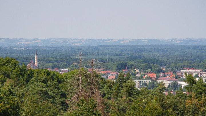 Wieża widokowa na wzgórzu Bocheniec. Nowa wyjątkowa atrakcja Małopolski