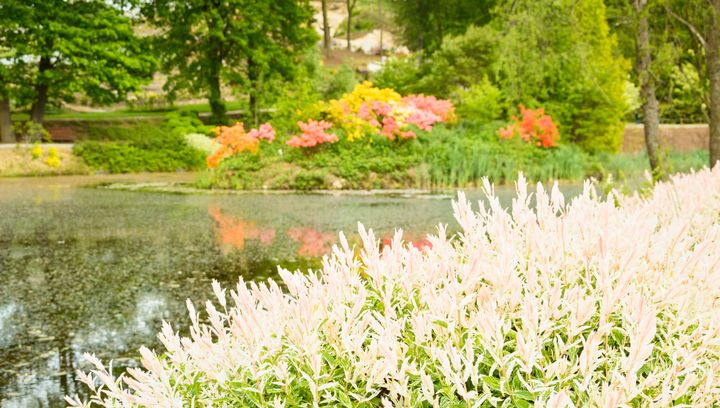 Arboretum Wojsławice - miejsce, które warto zobaczyć jesienią!