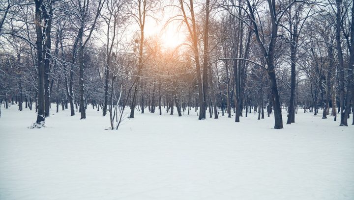 Pogoda na styczeń 2024 w Polsce, w górach, nad morzem