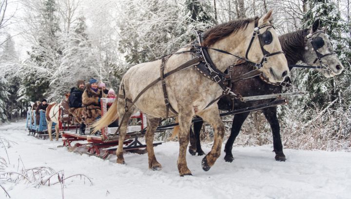 Kulig w obiekcie noclegowym. Jak go zorganizować?