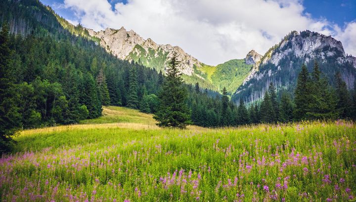 Dolina Kościeliska - najpiękniejsza dolina w polskich Tatrach?