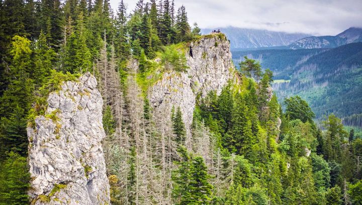 Nosal - łatwy do zdobycia, widokowy szczyt nad Zakopanem