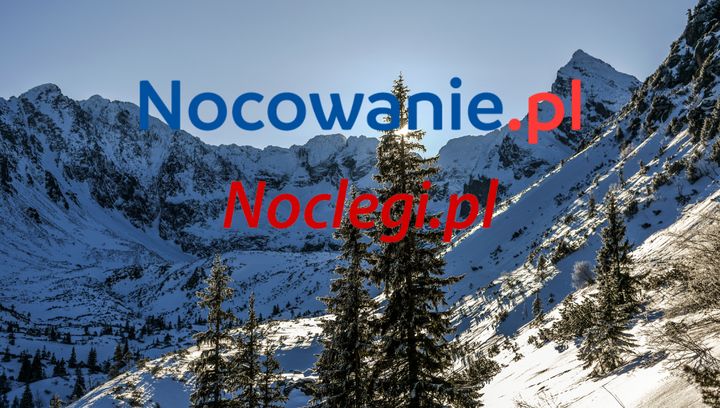 Nocowanie.pl i Noclegi.pl od kuchni. Czyli, co się dzieje w naszym świecie?