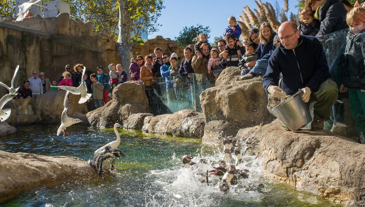 Dzień miłośników ZOO. Które ogrody zoologiczne warto odwiedzić w Polsce?