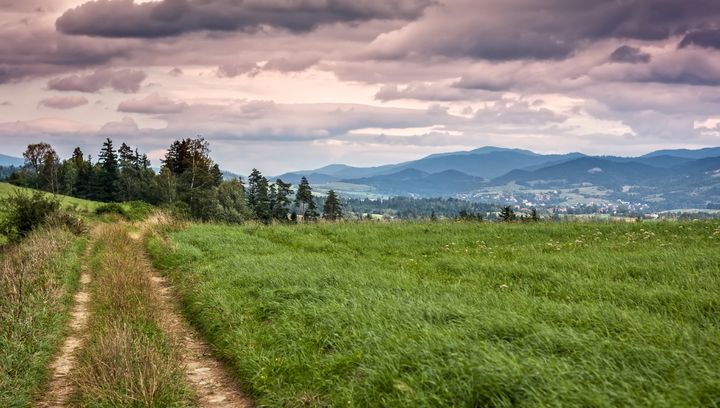 Wieża widokowa na Górze Skiełek - nowa atrakcja Beskidu Wyspowego