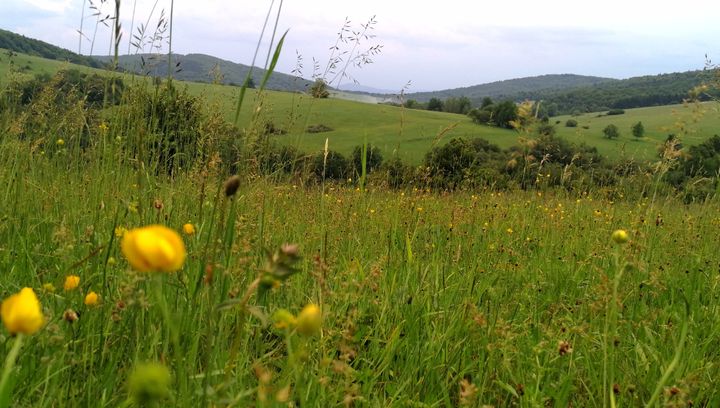 Magurski Park Narodowy - niezwykle malownicze miejsce w Beskidzie Niskim