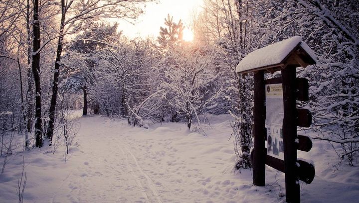 Kampinoski Park Narodowy. Co robić tu zimą?