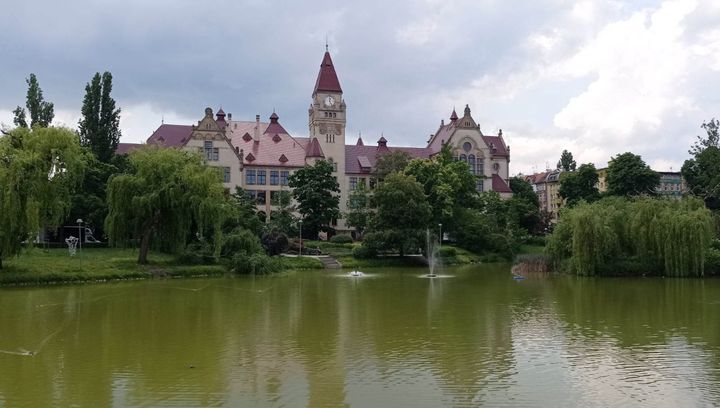 Park Tołpy - wyjątkowe i niedocenione miejsce we Wrocławiu