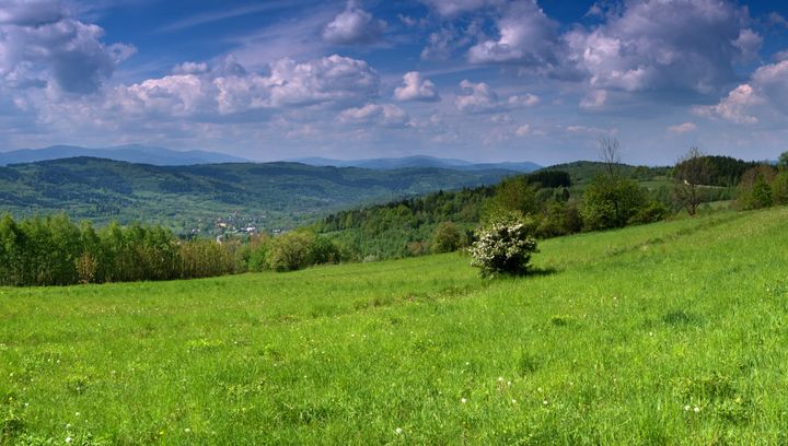 Beskid Makowski - niedoceniony region górski w Polsce. Gdzie się wybrać?