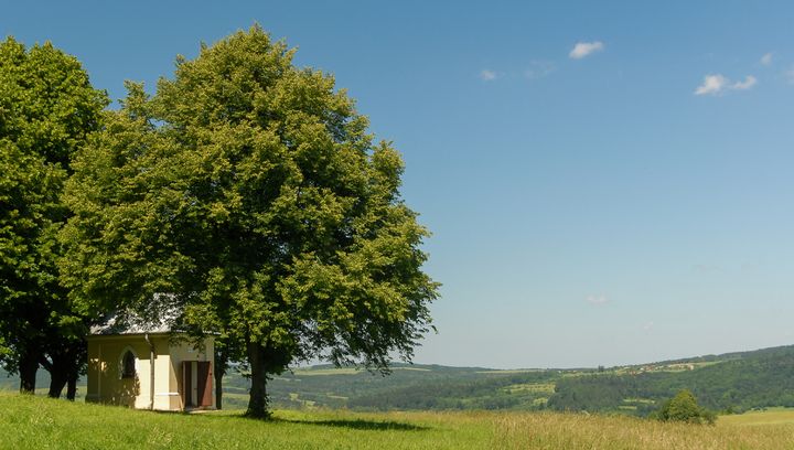 Kalwaria Pacławska - miejsce z malowniczymi widokami. Co tu zobaczyć?