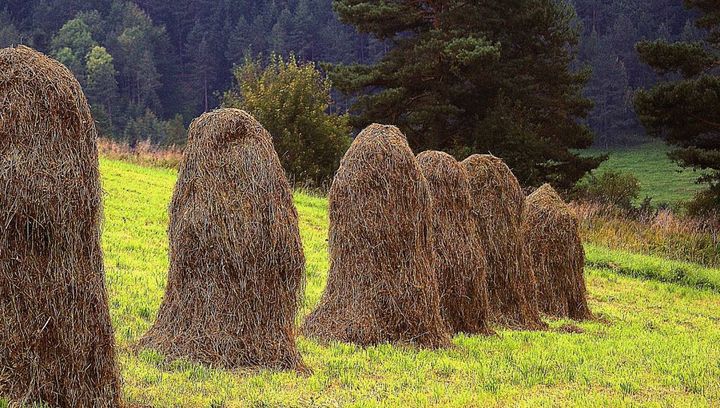 Zwiedzaj Beskid Sądecki na rowerze!