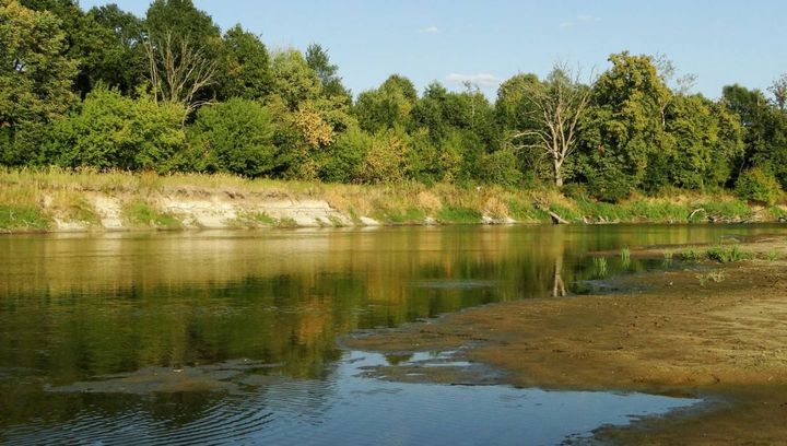 Sierpień nad Bugiem - FOTOGALERIA