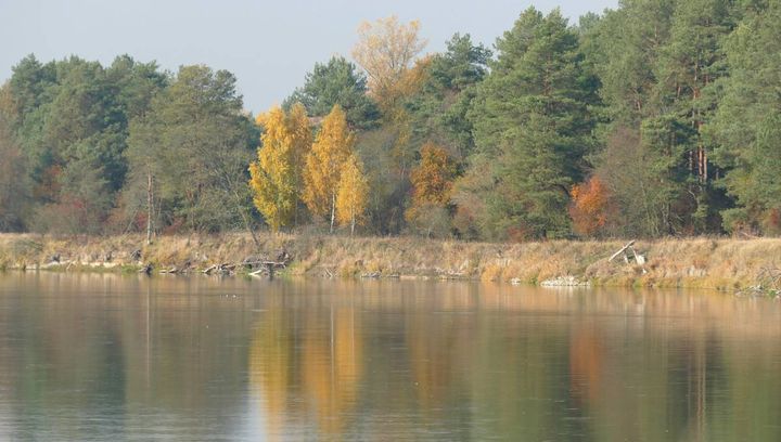 Nad jesiennym Bugiem - galeria zdjęć