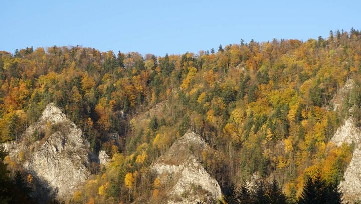 Jesienne Pieniny - galeria zdjęć