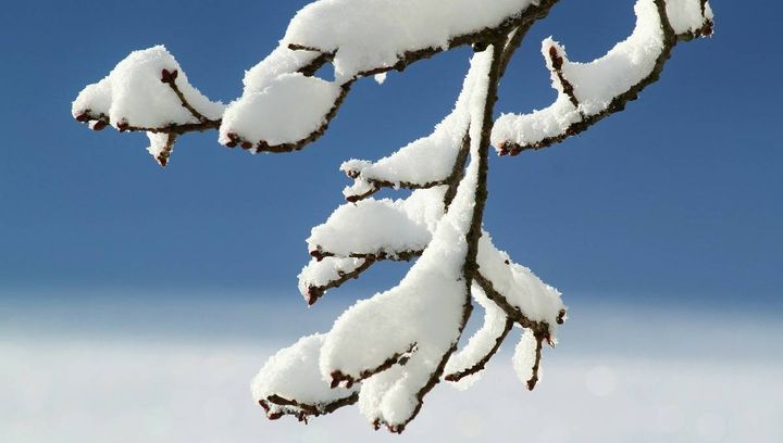 5. edycja akcji „Mazury za pół ceny”