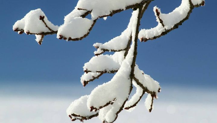 Terminy ferii zimowych w województwie wielkopolskim