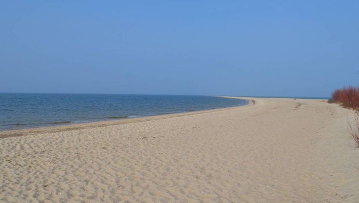 Spacer po plaży w Rewie