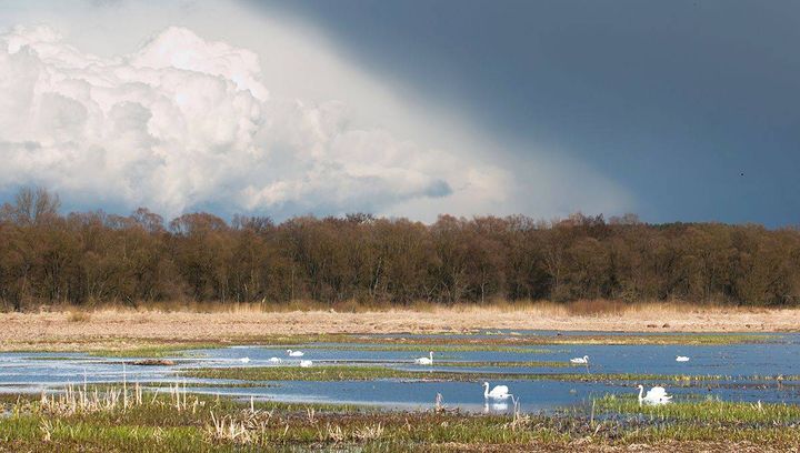 Wiosna na Podlasiu - galeria zdjęć