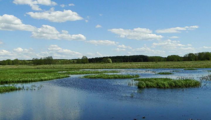 Podlaski Przełom Bugu wiosną - galeria zdjęć