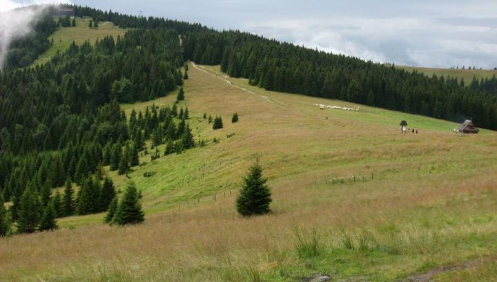 Weź udział w akcji Czyste Gorce 2015!