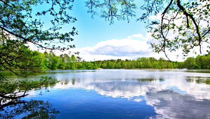 Jak smakują... Mazury?!